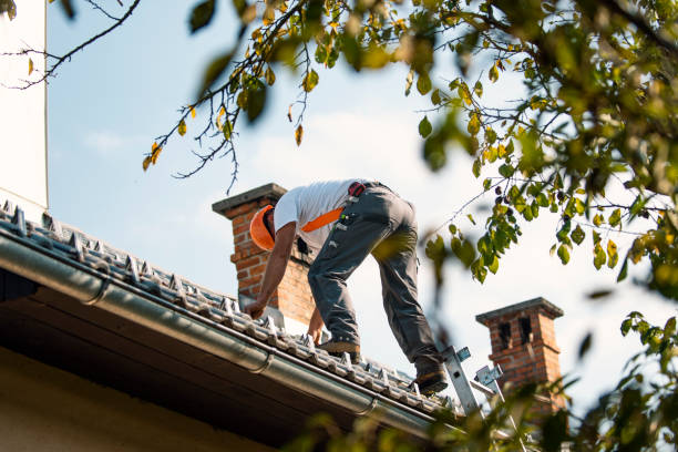 Best Storm Damage Roof Repair  in Town Line, NY