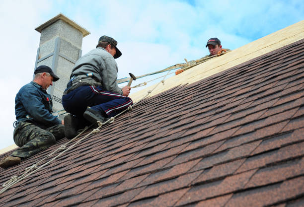 Best Flat Roof Repair Services  in Town Line, NY